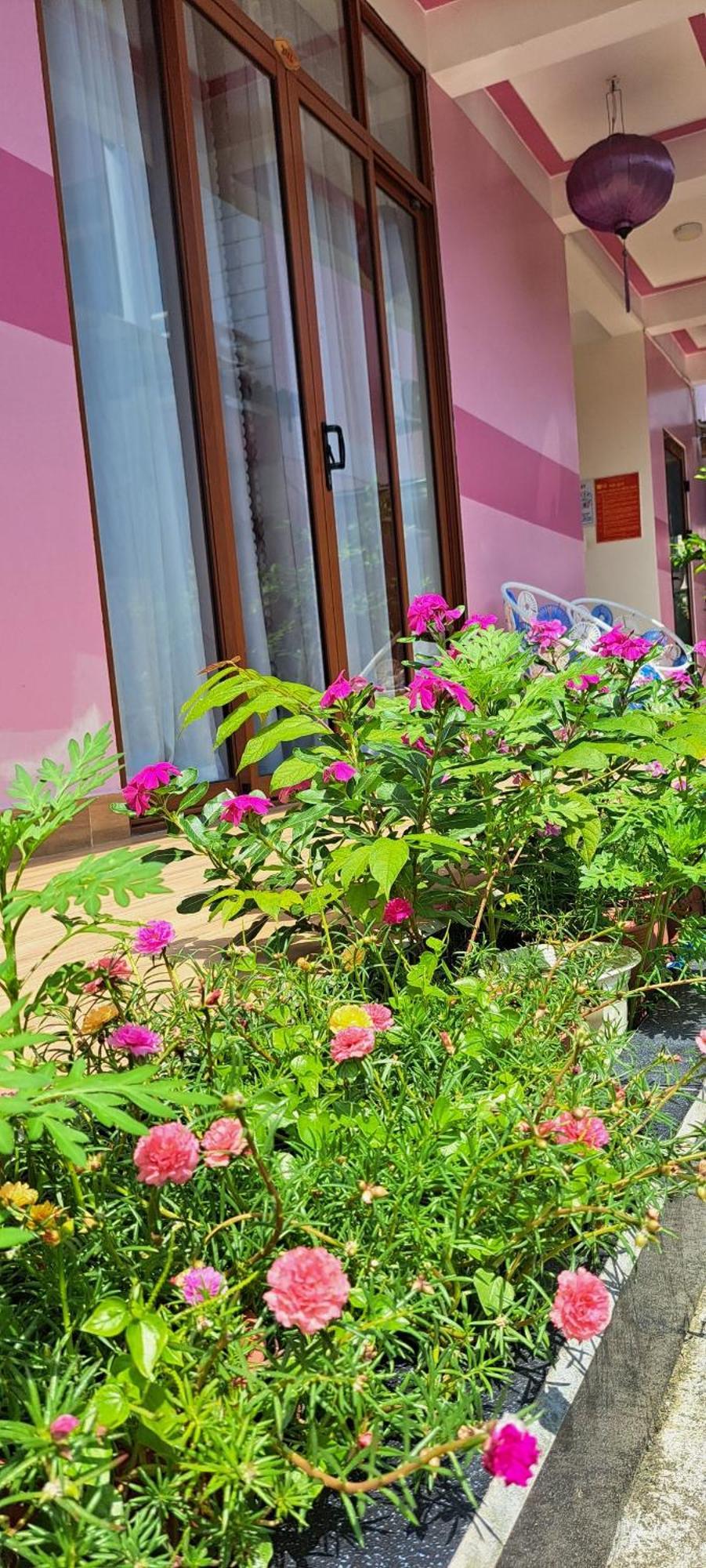 Pink House Homestay Hoi An Exterior photo