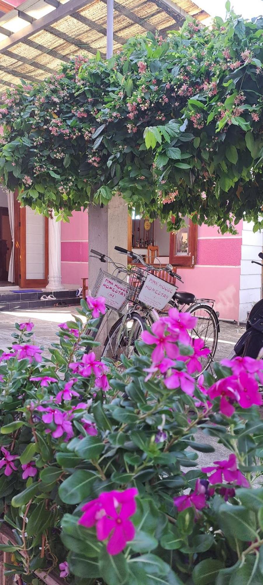 Pink House Homestay Hoi An Exterior photo